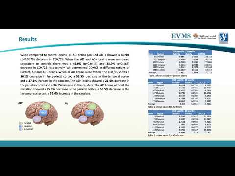 Thumbnail image of video presentation for Studies of Cytochrome C Oxidase Activity in Different Regions of Autopsy Confirmed Alzheimer Disease Brains