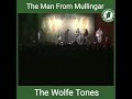 The Man From Mullingar-The Wolfe Tones