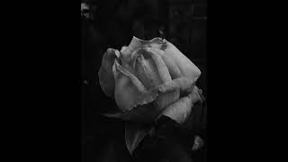 King Crimson - Inner Garden II (vocal cover)