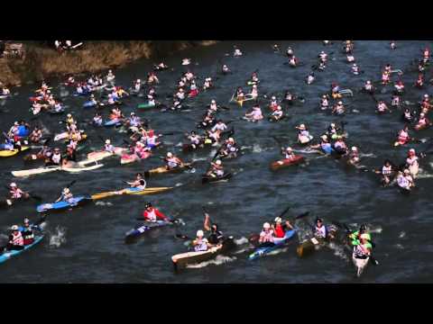 Shock Wave Sports all'Adige Marathon 2014