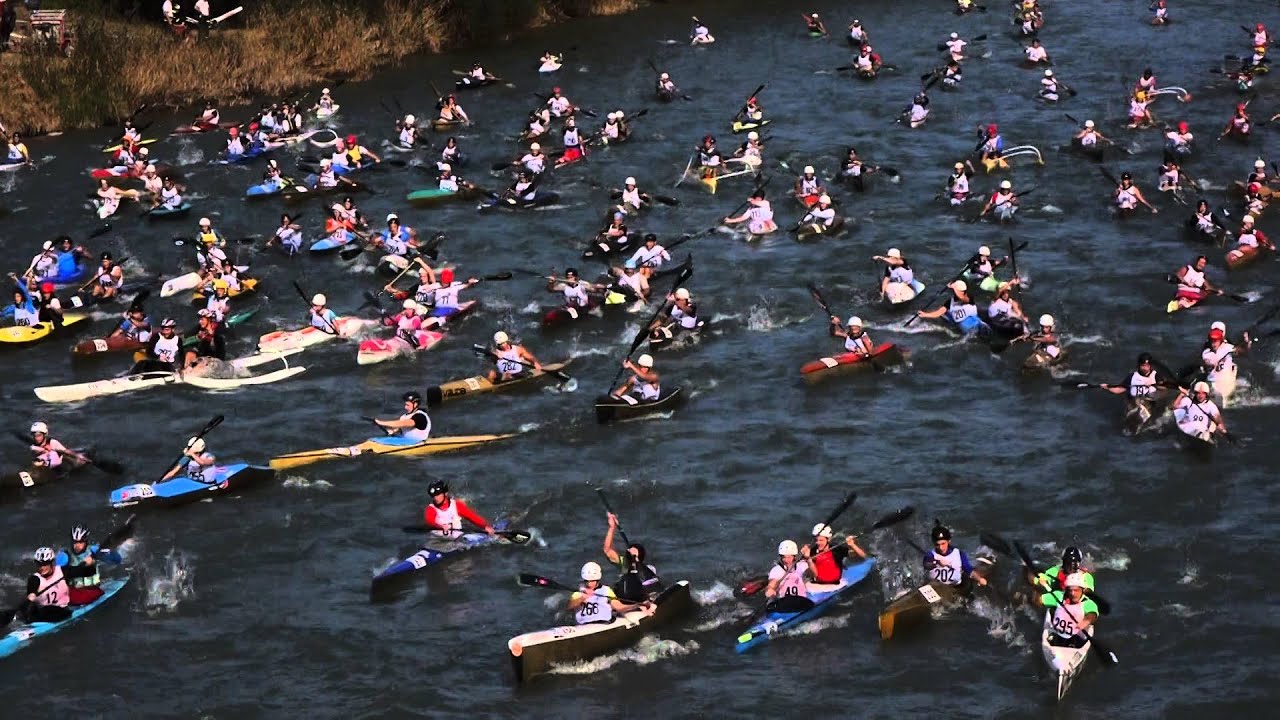 Shock Wave Sports all'Adige Marathon 2014