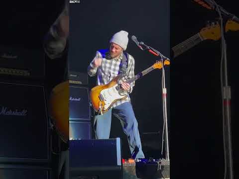 John Frusciante Is Without A Doubt The Best Guitarist In The World! #Shorts #RHCP #JohnFrusciante