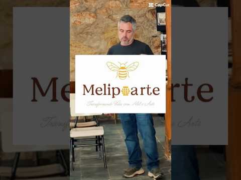 Melipoarte Pedralva MG #meliponicultura #artesanato #adrianosallum #tatianasallum