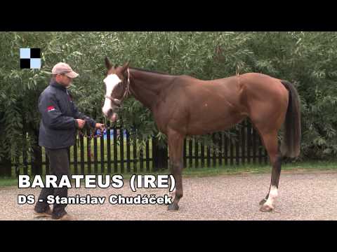 Galopp-TV - St. Leger 2013 - Barateus