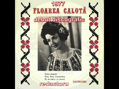 FLOAREA CALOTĂ - 1977, debut discografic
