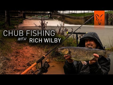 *** Chub Fishing with Rich Wilby ***