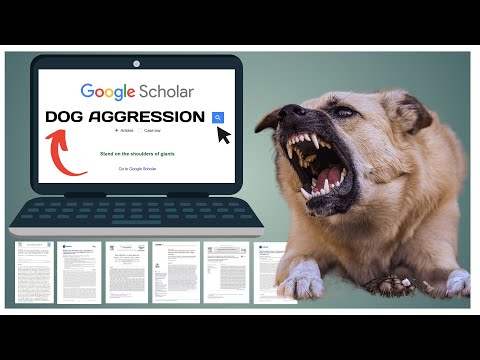 Dog Aggression. What Science Says.