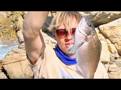 How to Catch Hottentot