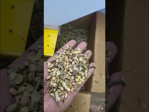 Automatic ms magnetic destoner machine, for grains, capacity...