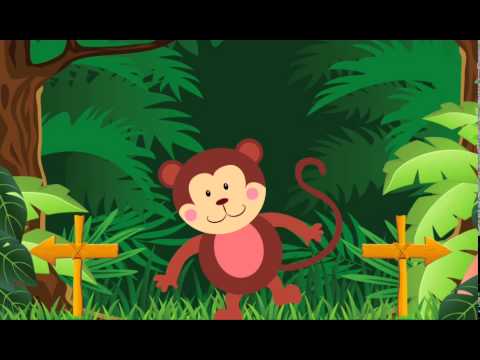 Cute Jungle for Toddlers Video