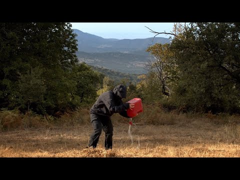 trailer