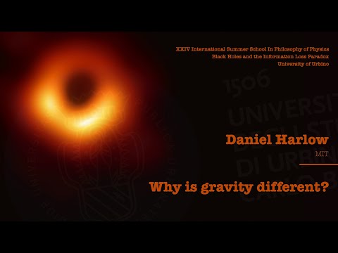 Daniel Harlow - Why is gravity different?  [Lecture 1]