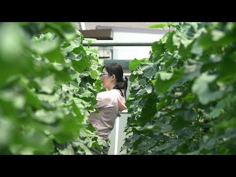 【京都外大】新種ノ外大02｜畑田彩准教授