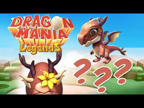 SYLVAN NEXT DRAGON OF THE WEEK! + VALENTINE'S DAY CELEBRATIONS?! - Dragon Mania Legends #379