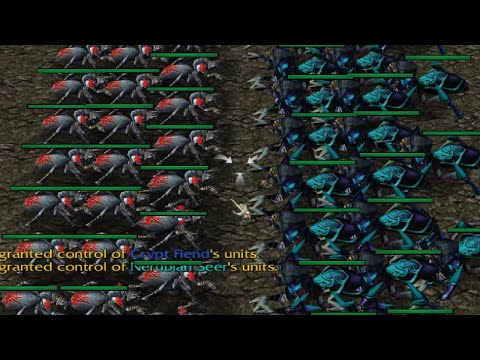 【小黄】40 Crypt Fiend FullGrade vs 25 Nerubian Seer Skeleton Grade