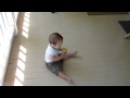 Run Run Con El Carrito
