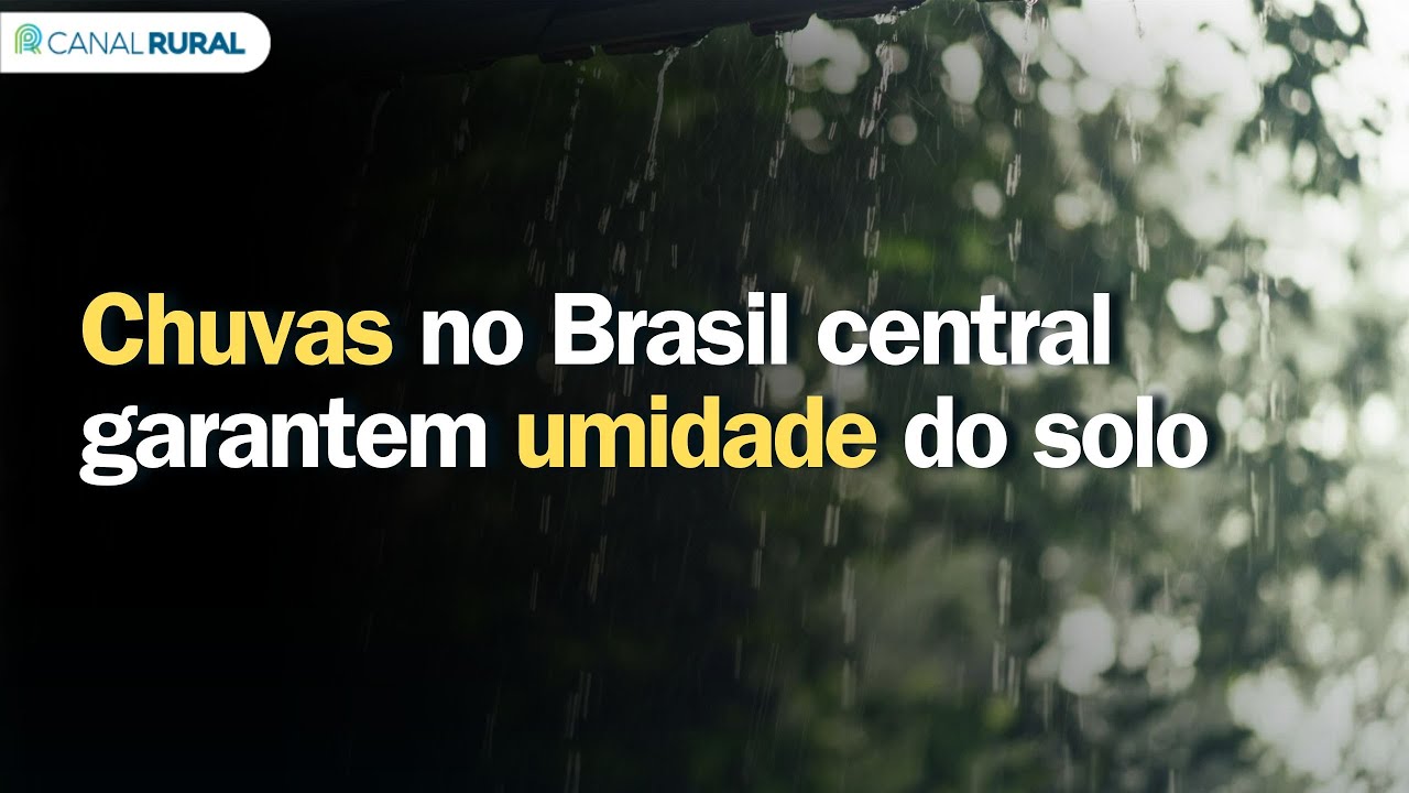 Previsão do tempo | Chuvas no Brasil central garantem umidade do solo