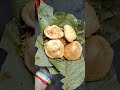 Kolkata Viral Chhangani Club Kachori Debojyotivlogs Newinkolkata