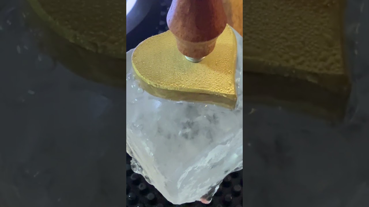 Animation Les Dompteurs