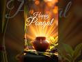 Happy Pongal Whatsapp Status Tamil Vellorecreator