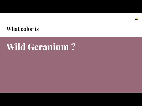 Wild Geranium color #986a79 hex color - Violet color - Cool color 986a79