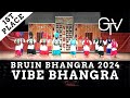 VIBE Bhangra's Big Fat Punjabi Wedding - First Place at Bruin Bhangra 2024