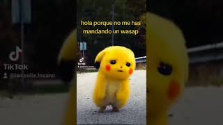 Pikachu hola porque no me has mandando un wasap qué yá no me quieres o que