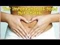 THE IMPORTANCE OF GOOD GUT HEALTH - Raw ...