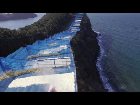 ゆでぼし大根＜西海市＞