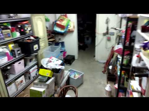 Apocalyptic Fly Problem in Waretown, NJ