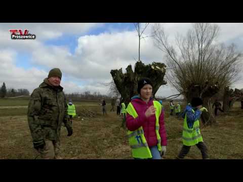 Budowanie mięśni poziomy pasek Silne grupy mięśniowe