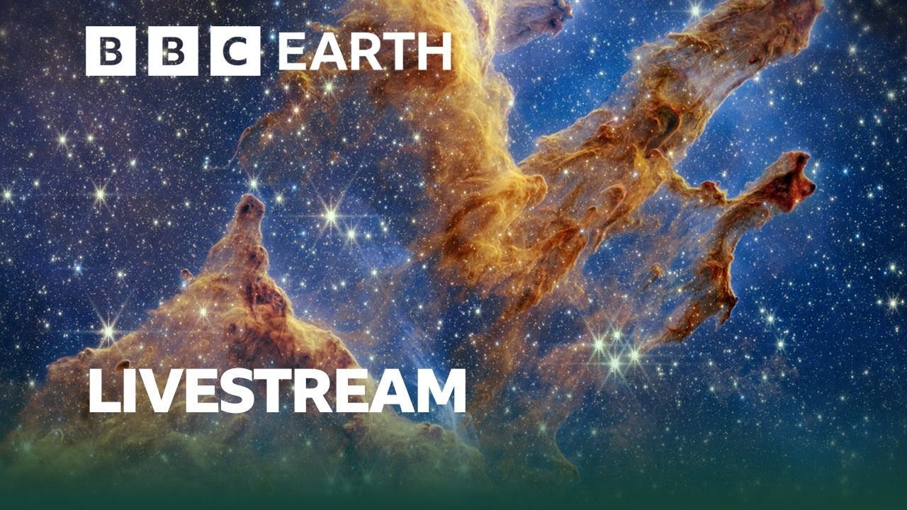 🔴 LIVE | Exploring our Mind-Blowing Universe | BBC Earth Science
