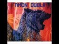 Amon Düül II - Deutsch Nepal 