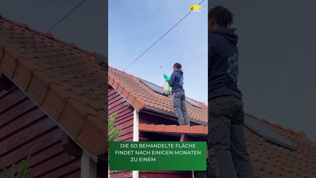 Wie reinigt man Ihr Dach mit SCALP ANTI-M, einem professionellen Anti-Moos-Produkt ?