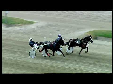 Napoli Trotto 10/06/2021 - 2ª prova di qualifica