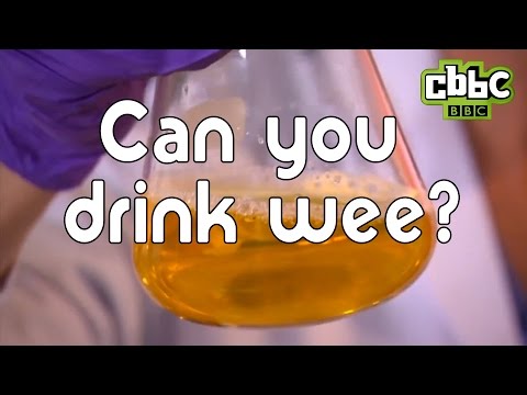 Can you drink your own wee? Dr Chris and Dr Xand find out!