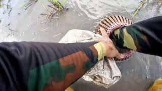 Download lagu Serkap Ligan Ikan Turut Trekta Di Kobah Tepi Highway Pendang Pendang s441 mp3 Download lagu Serkap Ligan Ikan Turut Trekta Di Kobah Tepi Highway Pendang Pendang s441 mp3