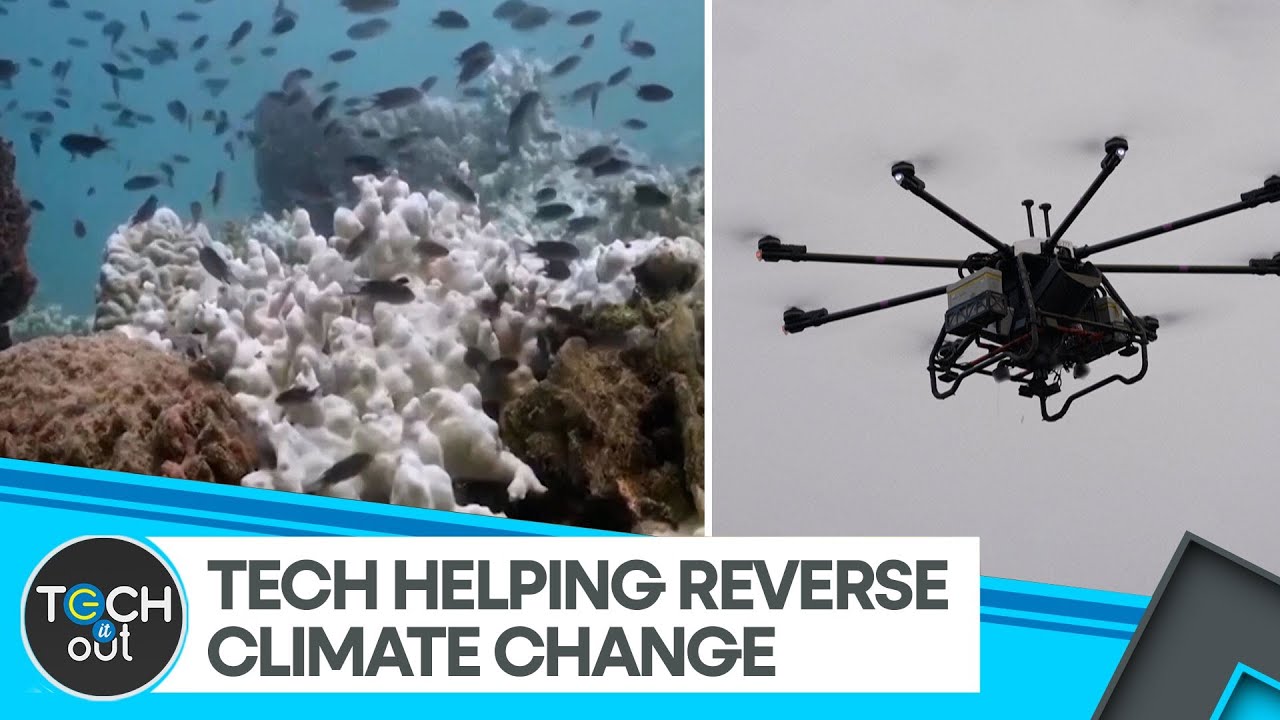 Drones & AI Are Rebuilding Nature | Artificial Intelligence | Tech It Out