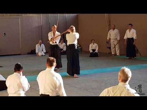 Traditional Aikido Europe - MOBILISE YOUR CENTRE - Lewis Bernaldo de Quiros