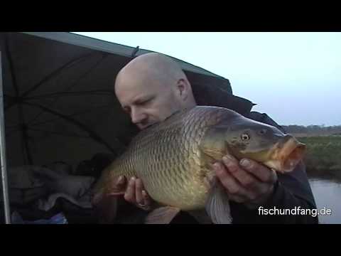 Matze Koch: How to catch carp - Canal in the open air 4/8