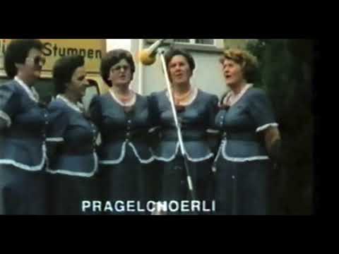 Meine Freud - Pragelchörli
