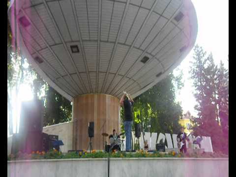 Flying Fish - Rockový úlet