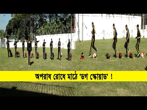 সিএমপিতে প্রথমবারের মতো যুক্ত হলো 'ডগ স্কোয়াড'; থাকবে ৯টি বিশেষ প্রশিক্ষিত কুকুর | Cplus