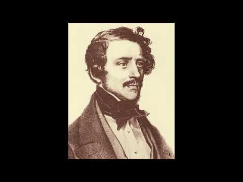 Gaetano Donizetti - Flute Sonata in C major