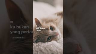 Download lagu Cinta terbaik - Cassandra , meski ku bukan yang pertama #fyp #liriklagu   #shorts mp3