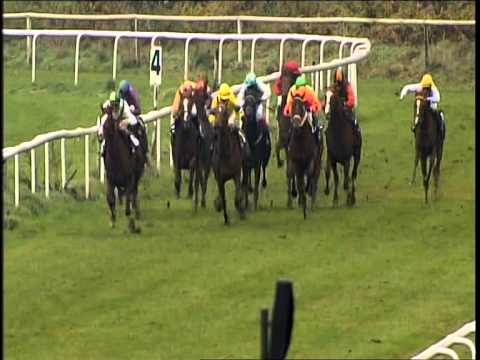 Galopprennbahn Dresden - 19.11.2014 - 3.Rennen