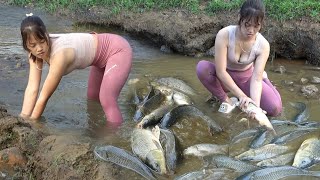 Top Fishing Videos: Survival Skill, Fishing Techniques, Survival Fishing, Creat Traps Catch Big Fish