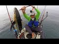 Kayak Fishing Yellowfin Tuna Wahoo Big Jacks FieldTrips Panama Field Trips With Robert Field