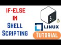 How to Use if-else in Shell Scripts | Shell Scripting Tutorial for Beginners