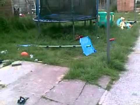 kian making my nextdoor neighbours dogs howl